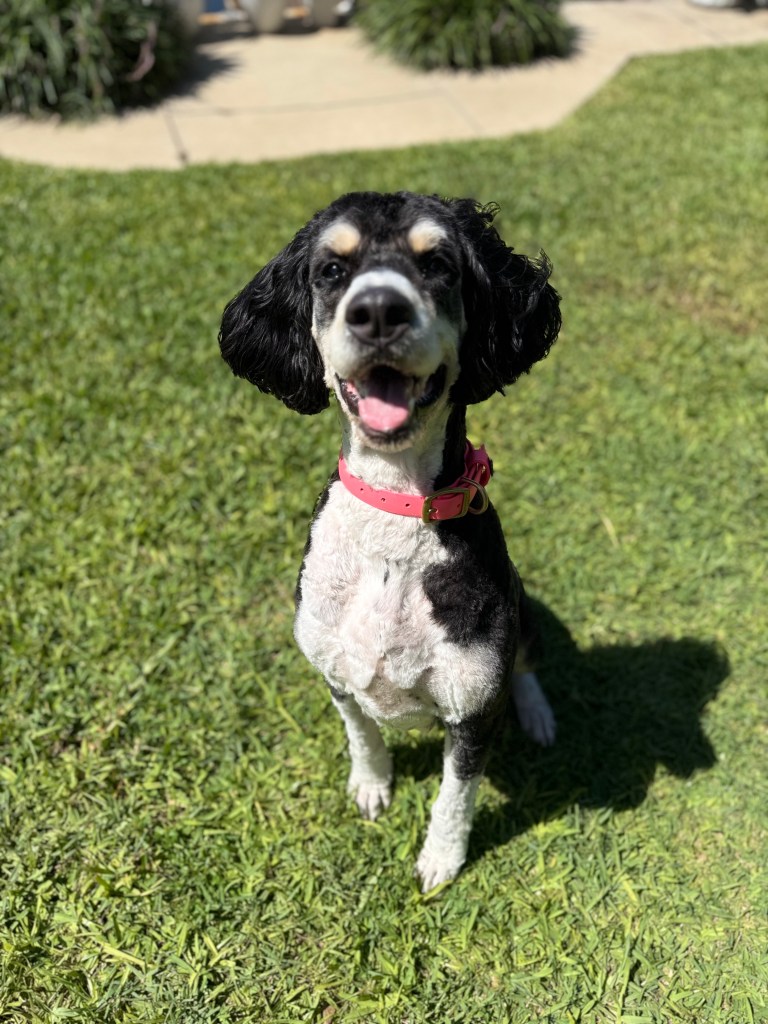 7FB595B7-5526-43FC-9A7A-263692AC0206